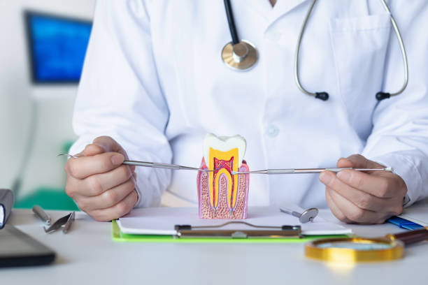 Best Emergency Treatment for Toothache in Lincoln, AL